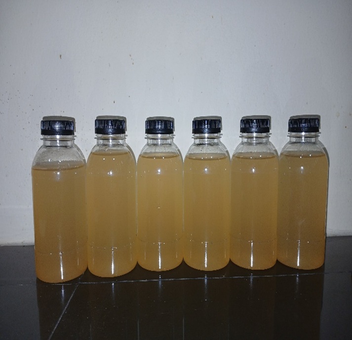 Proses Formulasi Jahe Merah (Zingiber Officinale Var Rubrum Rhizoma) Terfermentasi Sebagai Minuman Kesehatan Yang Mempunyai Aktivitas Antidiabetes Dan Antioksidan
